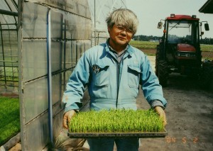 水稲用　自然育苗用土・養分使用